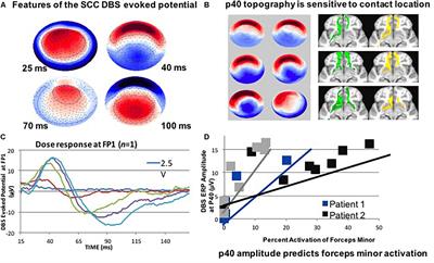 Proceedings of the Sixth Deep Brain Stimulation Think Tank Modulation of Brain Networks and Application of Advanced Neuroimaging, Neurophysiology, and Optogenetics